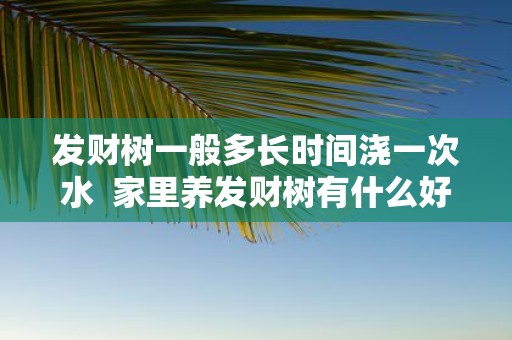 发财树一般多长时间浇一次水 家里养发财树有什么好处