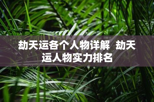 劫天运各个人物详解 劫天运人物实力排名