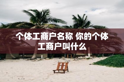 个体工商户名称 你的个体工商户叫什么