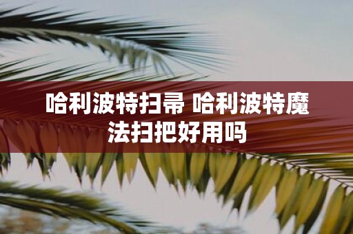 哈利波特扫帚 哈利波特魔法扫把好用吗