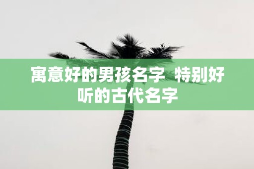 寓意好的男孩名字 特别好听的古代名字