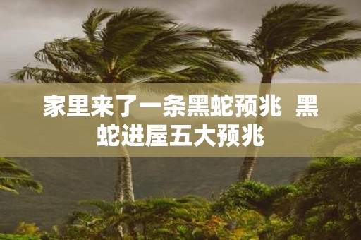 家里来了一条黑蛇预兆 黑蛇进屋五大预兆