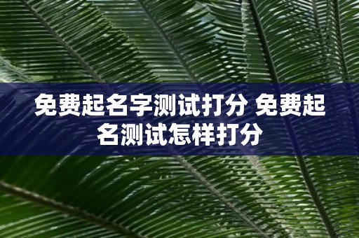 免费起名字测试打分 免费起名测试怎样打分