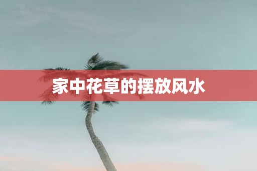 家中花草的摆放风水