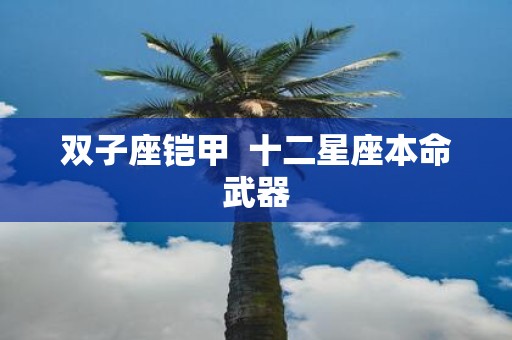双子座铠甲 十二星座本命武器