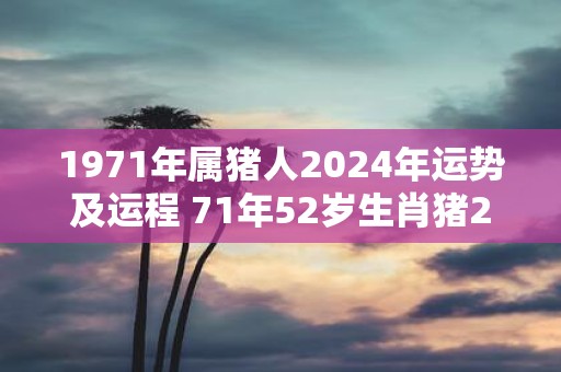 1971年属猪人2025年运势及运程 71年52岁生肖猪2025年每月运势