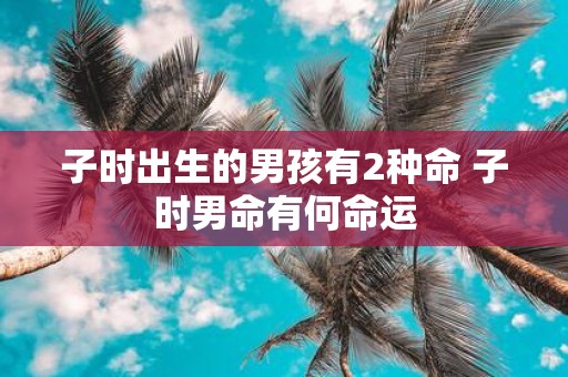 子时出生的男孩有2种命 子时男命有何命运