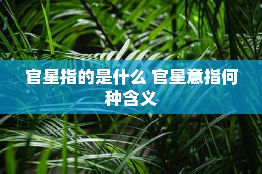 官星指的是什么 官星意指何种含义