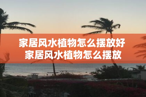 家居风水植物怎么摆放好 家居风水植物怎么摆放