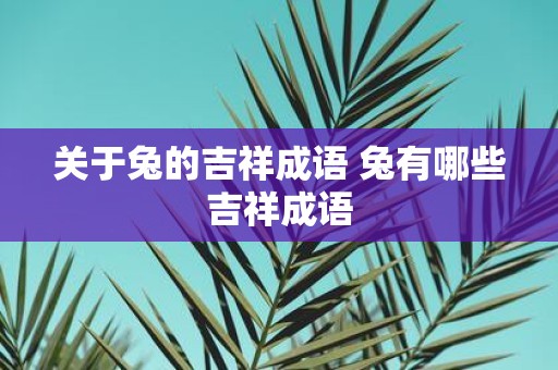 关于兔的吉祥成语 兔有哪些吉祥成语