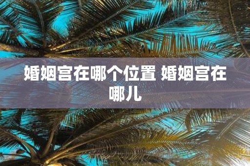 婚姻宫在哪个位置 婚姻宫在哪儿