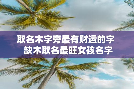取名木字旁最有财运的字 缺木取名最旺女孩名字
