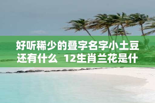 好听稀少的叠字名字小土豆还有什么 12生肖兰花是什么生肖