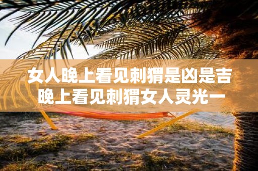 女人晚上看见刺猬是凶是吉 晚上看见刺猬女人灵光一闪