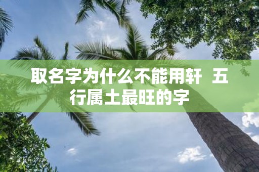 取名字为什么不能用轩 五行属土最旺的字