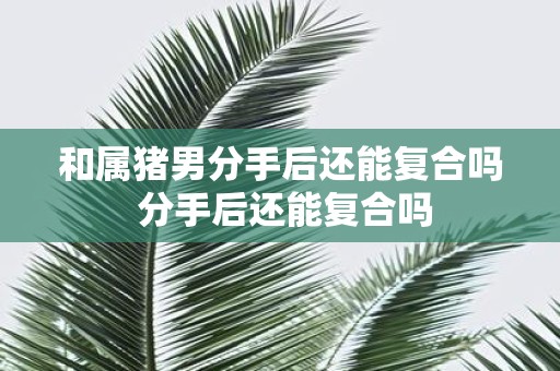 和属猪男分手后还能复合吗 分手后还能复合吗