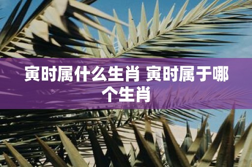寅时属什么生肖 寅时属于哪个生肖