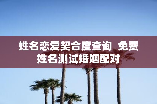 姓名恋爱契合度查询 免费姓名测试婚姻配对