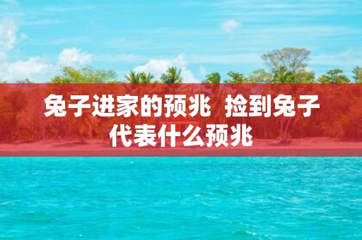 兔子进家的预兆 捡到兔子代表什么预兆