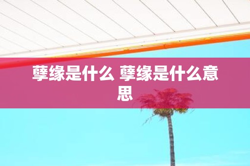 孽缘是什么 孽缘是什么意思