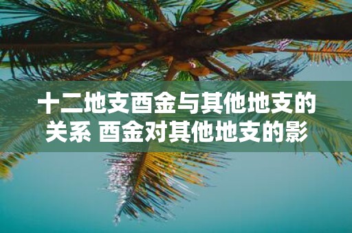 十二地支酉金与其他地支的关系 酉金对其他地支的影响