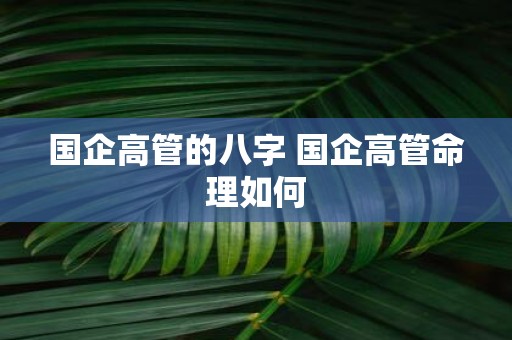 国企高管的八字 国企高管命理如何