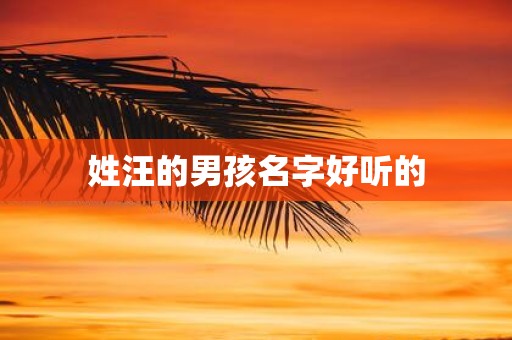 姓汪的男孩名字好听的