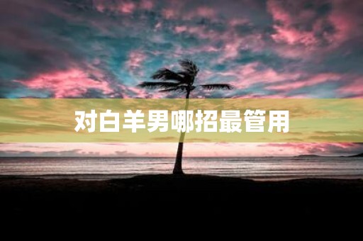 对白羊男哪招最管用