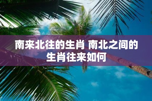 南来北往的生肖 南北之间的生肖往来如何