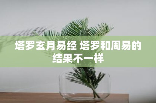 塔罗玄月易经 塔罗和周易的结果不一样