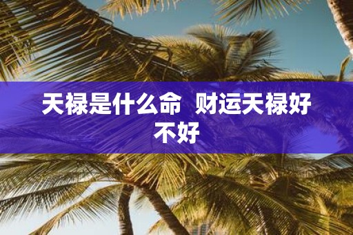 天禄是什么命 财运天禄好不好
