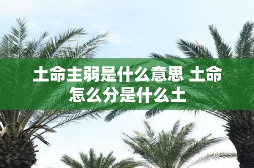 土命主弱是什么意思 土命怎么分是什么土