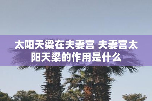 太阳天梁在夫妻宫 夫妻宫太阳天梁的作用是什么