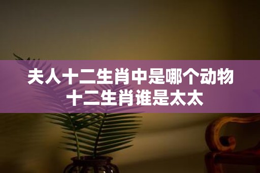 夫人十二生肖中是哪个动物 十二生肖谁是太太