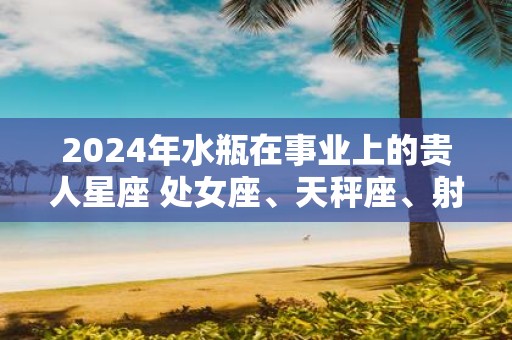 2025年水瓶在事业上的贵人星座 处女座、天秤座、射手座