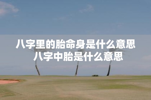 八字里的胎命身是什么意思 八字中胎是什么意思