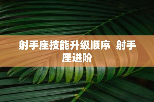 射手座技能升级顺序 射手座进阶