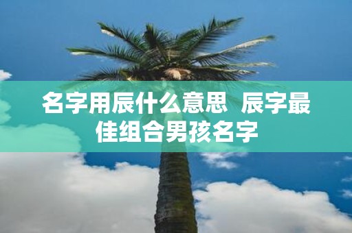 名字用辰什么意思 辰字最佳组合男孩名字