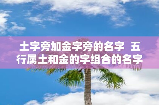 土字旁加金字旁的名字 五行属土和金的字组合的名字