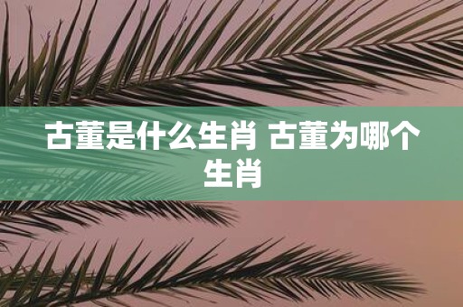 古董是什么生肖 古董为哪个生肖