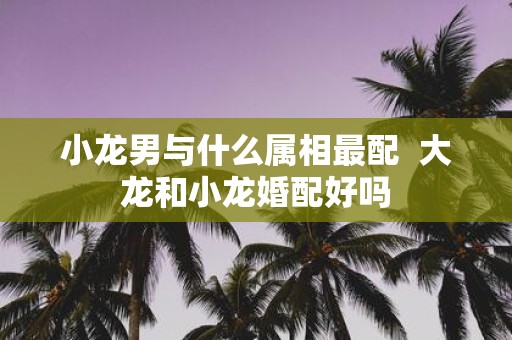 小龙男与什么属相最配 大龙和小龙婚配好吗