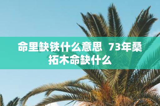 命里缺铁什么意思 73年桑拓木命缺什么
