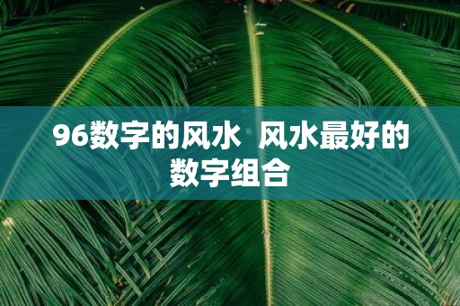 96数字的风水 风水最好的数字组合