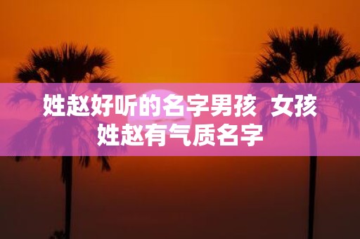 姓赵好听的名字男孩 女孩姓赵有气质名字