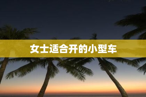 女士适合开的小型车