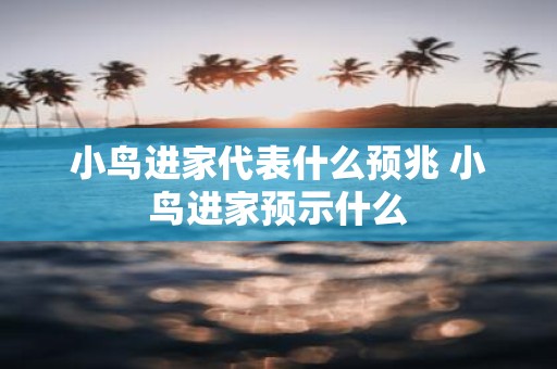 小鸟进家代表什么预兆 小鸟进家预示什么