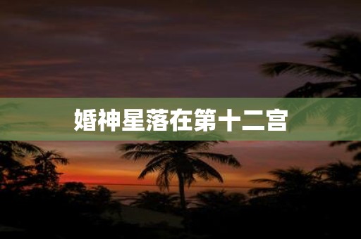 婚神星落在第十二宫