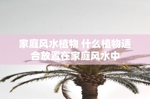家庭风水植物 什么植物适合放置在家庭风水中