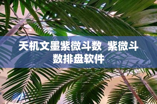 天机文墨紫微斗数 紫微斗数排盘软件