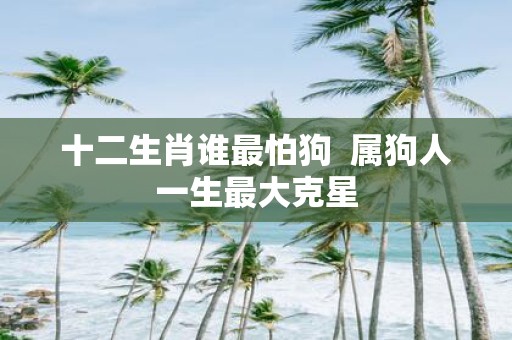 十二生肖谁最怕狗 属狗人一生最大克星